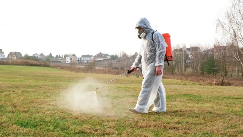 Lawn Disease Control