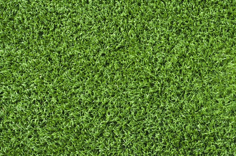 Healthy Turf Close-Up